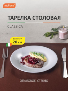 Тарелка 200 мм столовая Classica опаловое стекло/белая