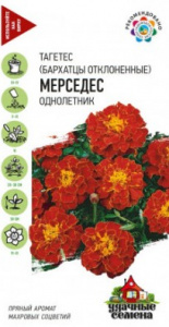 Семена цветы Бархатцы Мерседес откл. 0,3г УС Ц Гавриш