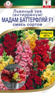 Семена Цветы Львиный зев Мадам баттерфляй 7шт