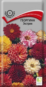 Семена цветы Георгина Экстрим 0,2г Ц Поиск