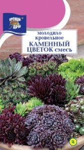 Семена Цветы Молодило Каменный цветок 0,01г Ц УУ