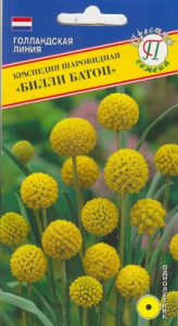 Семена Цветы Краспедия Билли Батон шаровид. 10шт Ц Престиж