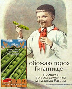Семена Горох Гигантище 3г Ц Премиум Сидс