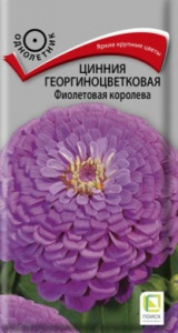 Семена цветы Цинния Фиолетовая королева 0,4г Ц Поиск