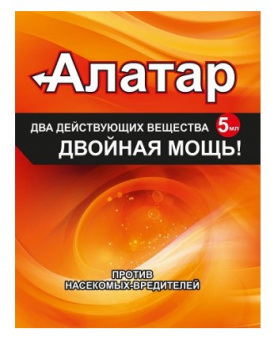 30433