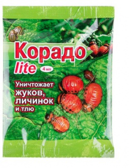 90579