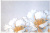 4060-02d 4060-02d