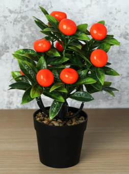 735672