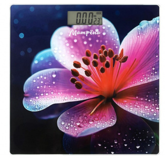 110017