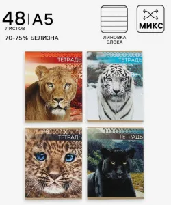 Тетрадь 48 листов в линейку, Calligrata «Дикие кошки», МИКС, белизна блока 75%