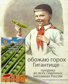 Семена Горох Гигантище 3г Ц Премиум Сидс