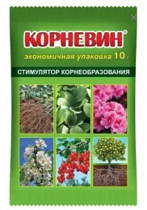 Корневин 10 г ВХ